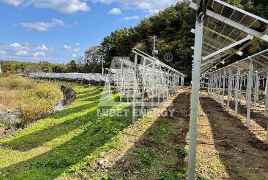 亚博YABO农光互补项目案例